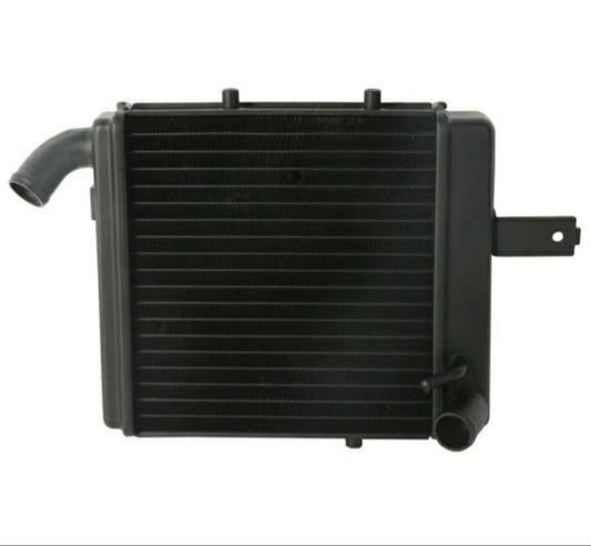 Radiator/ Water Tank For Benelli TNT 1130 Right Side